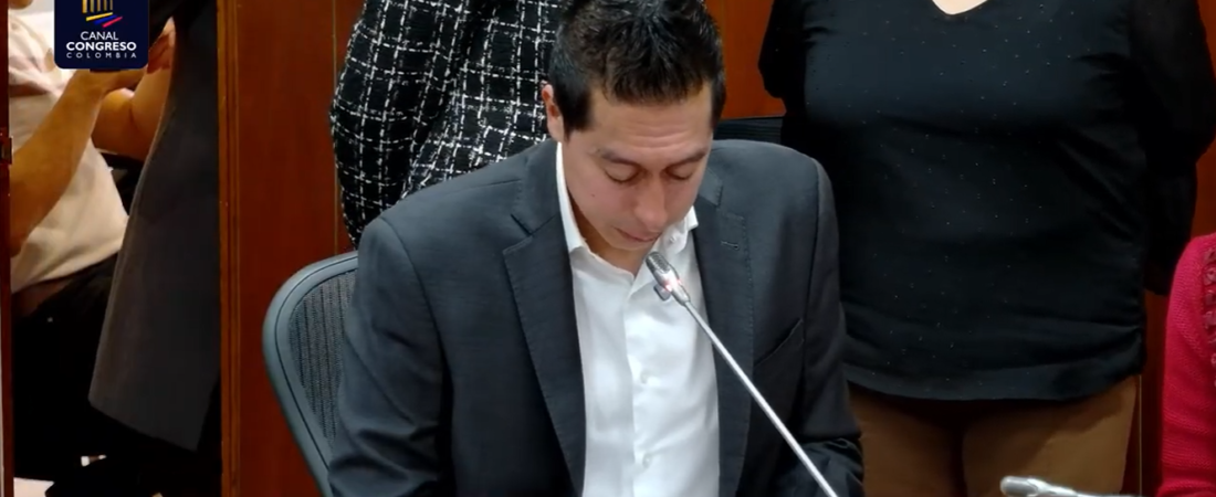 Me desempeñé como secretario ad hoc de la Comisión Sexta Constitucional